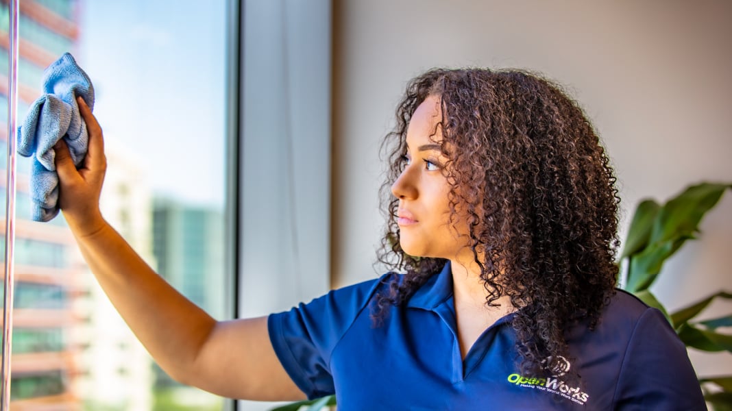 Janitorial Window Cleaning