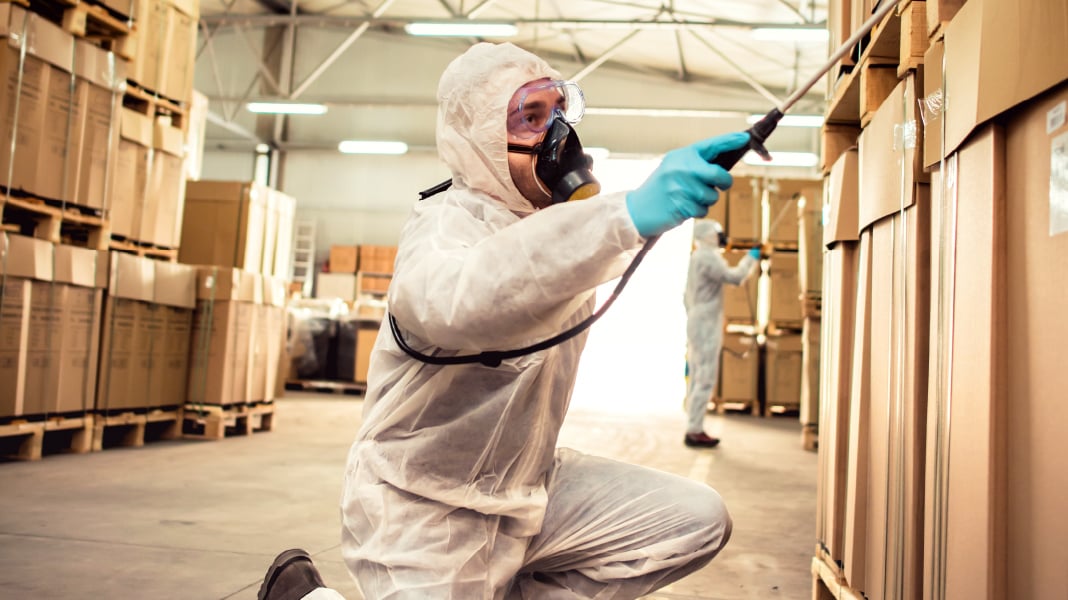 Spraying Pesticide at Storage Crates